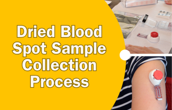 A yellow rectangle that says Dried Blood Spot Sample Collection Process in white letters. It includes a small picture the collection equipment and a picture of a women's arm that bears the blood collection unit.